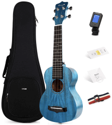 ukelele soprano Enya EUS 25D