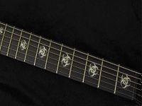 Inlays para guitarra de biohazard