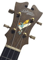 pegatinas para guitarra colibri