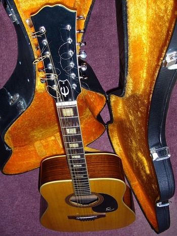 Guitarra de 12 cuerdas con estuche
